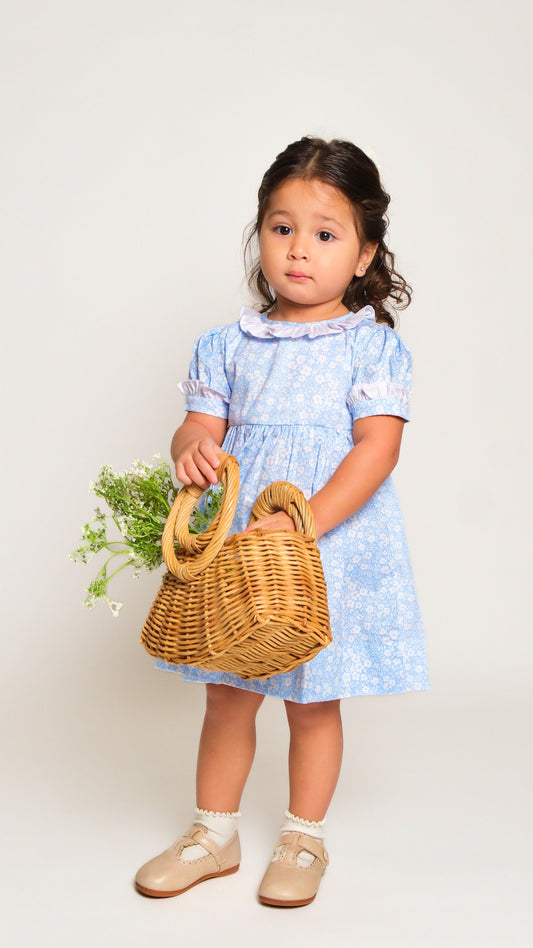 Nikola Ruffled Collar Baby/Girl Dress
